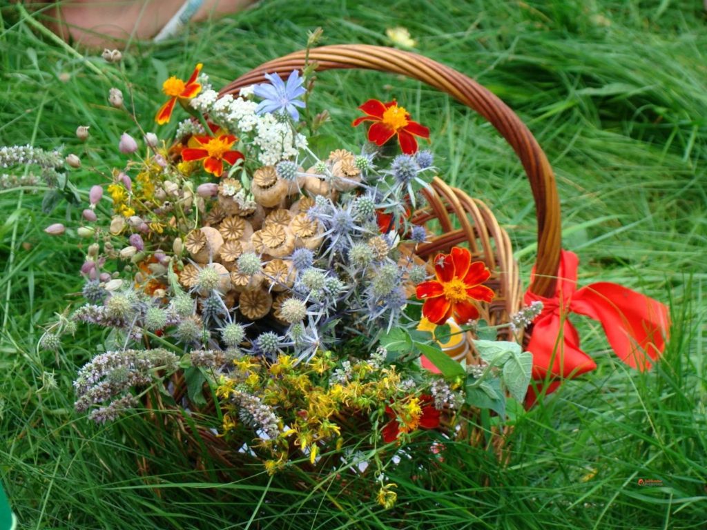 Свято Маковія: історія, традиції та прикмети