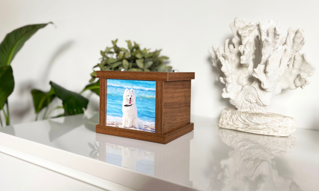 Почему многие сегодня выбирают кремацию животных